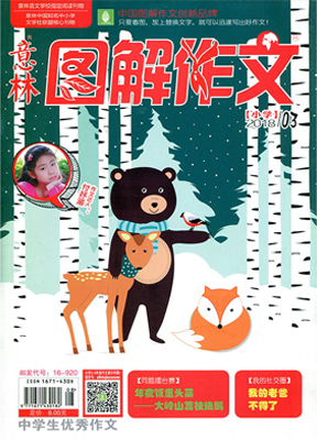 意林图解作文